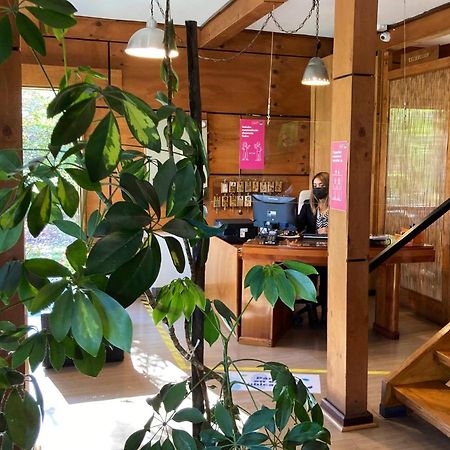 Hotel Truyaca Osorno Ngoại thất bức ảnh
